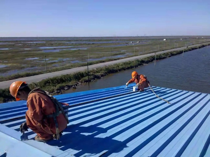 宝坻彩钢瓦屋面防腐翻新